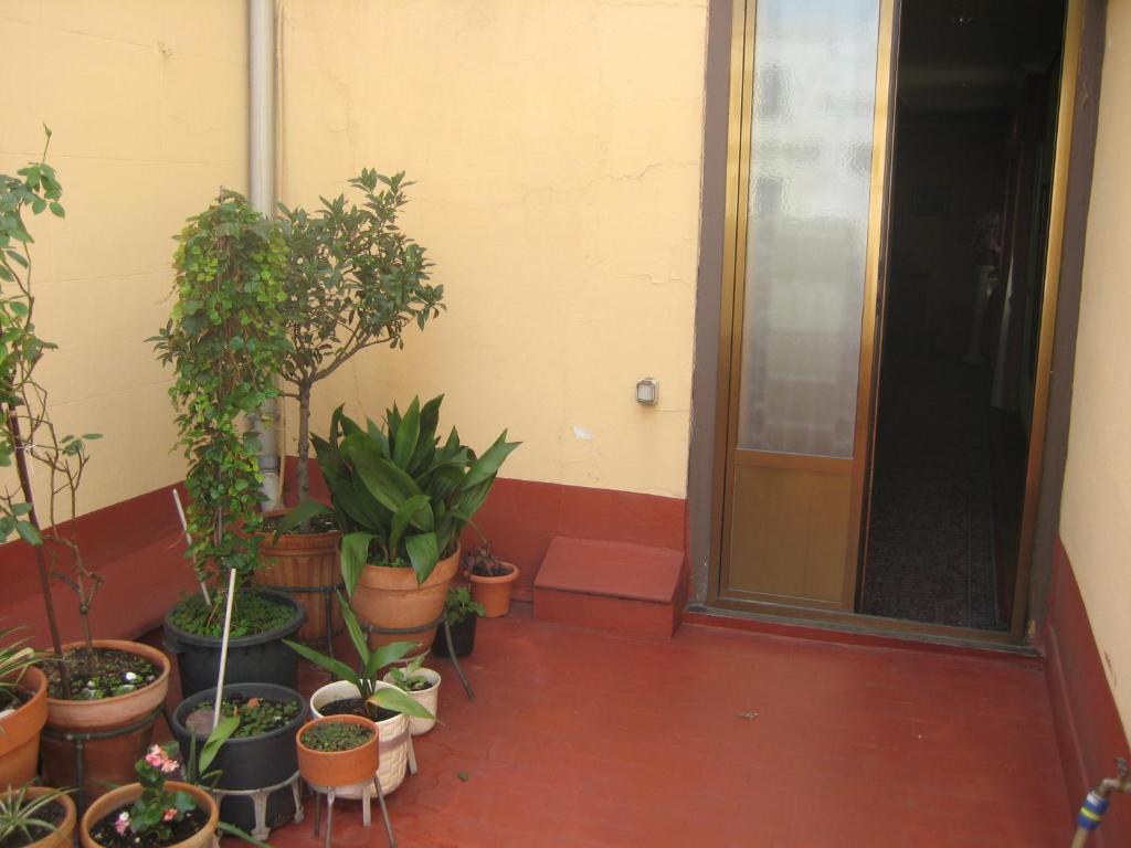Hostal La Selecta Madrid Exterior photo
